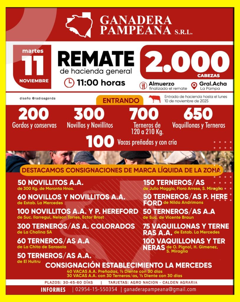 Remate feria Ganadera Pampeana en General Acha con 2000 cabezas el 11 de noviembre de 2025.