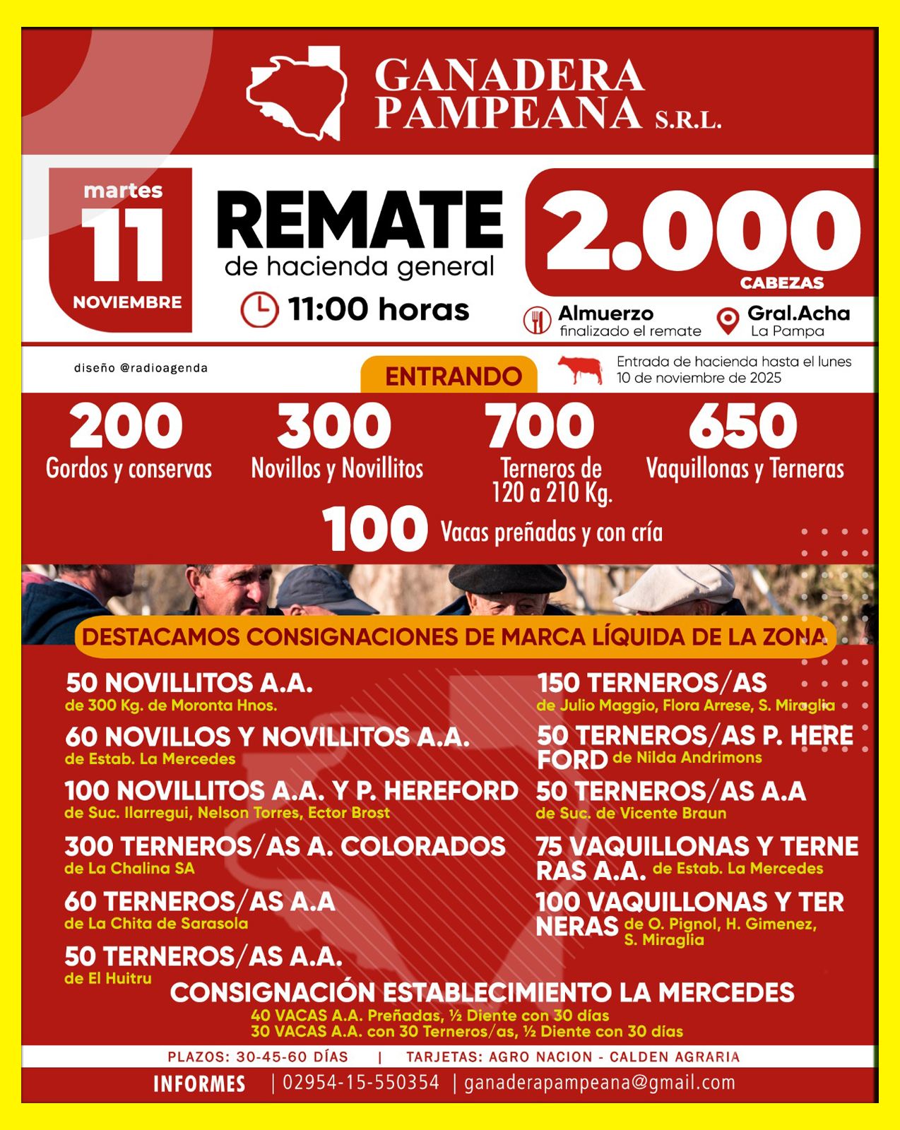 Remate feria Ganadera Pampeana en General Acha con 2000 cabezas el 11 de noviembre de 2025.