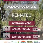 Ganaderos de Elordi S.A. y Sociedad Victorica S.R.L. | Luan Toro | Próximo Remate Feria el Miércoles 26 de Noviembre de 2025