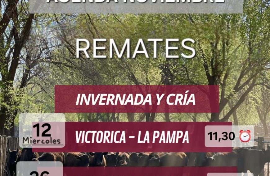 remate feria elordi luan toro 26 nov 2025 - remate feria Invernada y Cría en La Pampa