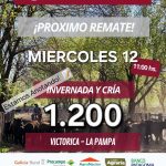 Ganaderos de Elordi S.A. | Victorica | Próximo Remate Feria el miércoles 12 de noviembre de 2025
