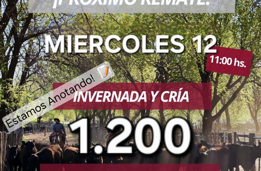 Remate feria Ganaderos de Elordi en Victorica La Pampa el miércoles 12 de noviembre 2025 con 1.200 vacunos.