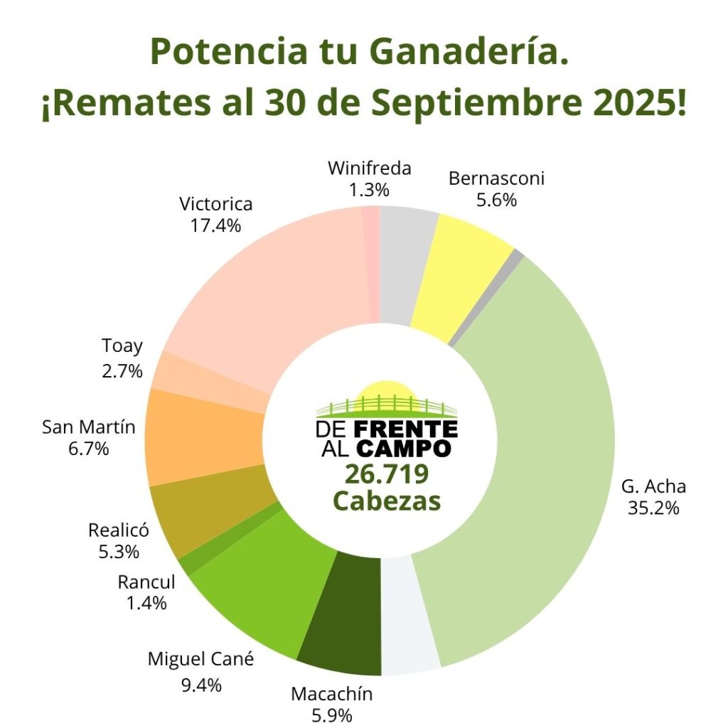 Distribución de remates feria septiembre 2025 por localidad en La Pampa – De Frente al Campo