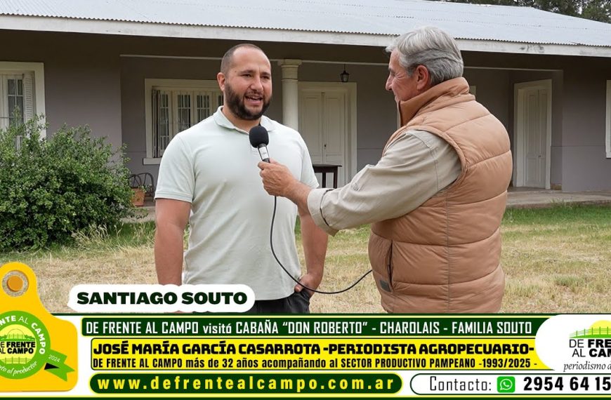 Santiago Souto de Cabaña «Don Roberto» -Charolais/Angus