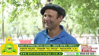 Dario Palos de Cabaña «El Trece»