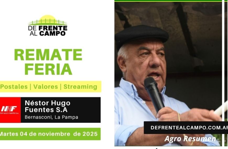 Remate Feria de Néstor Hugo Fuentes S.A. | Bernasconi | Martes 04/11/2025