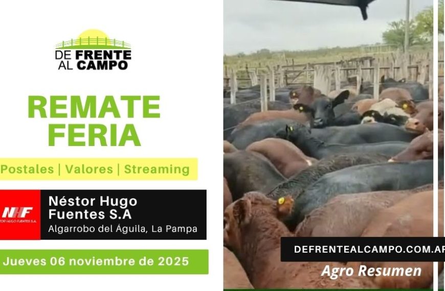 Remate Feria de Néstor Hugo Fuentes S.A. | Algarrobo del Águila | Jueves 06/11/2025