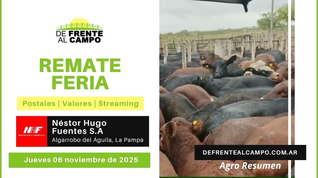 Remate Feria de Néstor Hugo Fuentes S.A. | Algarrobo del Águila | Jueves 06/11/2025
