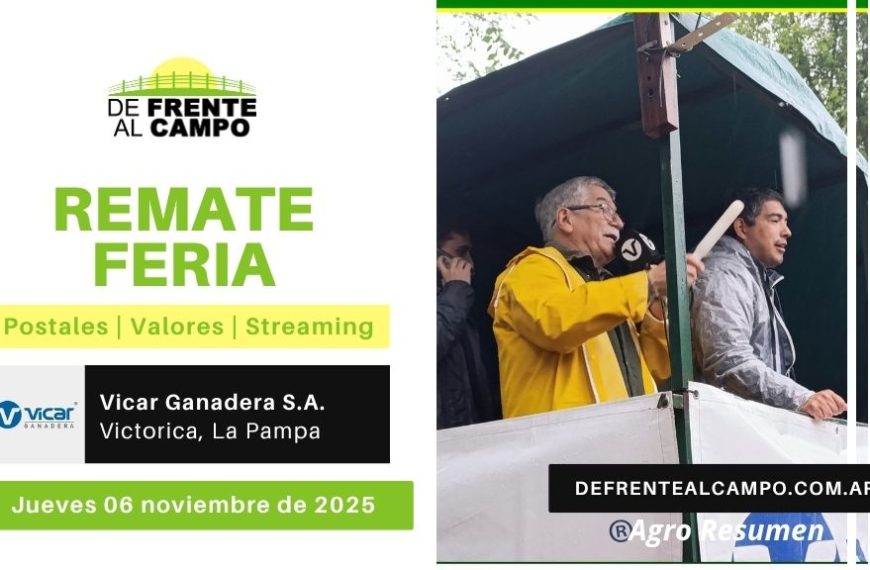 Remate Feria de Vicar Ganadera S.A. | Victorica | Jueves 06/11/2025