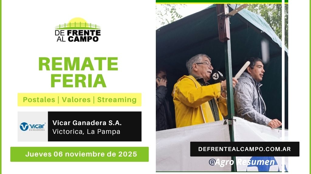 Remate Feria de Vicar Ganadera S.A. | Victorica | Jueves 06/11/2025