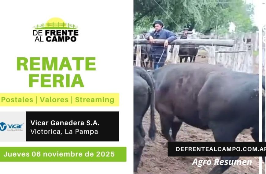Remate Feria de Vicar Ganadera S.A. | Victorica | Jueves 06/11/2025