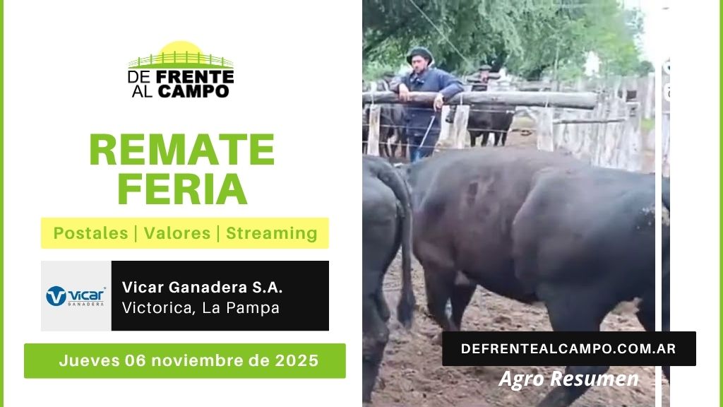 Remate Feria de Vicar Ganadera S.A. | Victorica | Jueves 06/11/2025