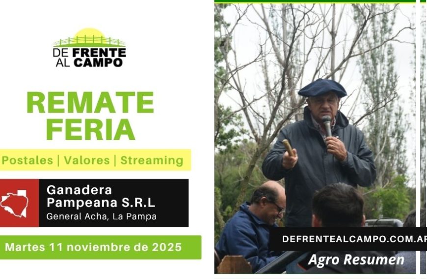 Remate Feria de Ganadera Pampeana S.R.L. | General Acha | Martes 11/11/2025