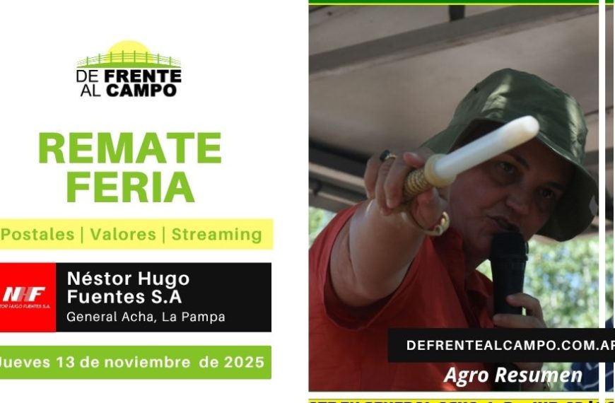 Remate Feria de Néstor Hugo Fuentes S.A. | General Acha | Jueves 13/11/2025