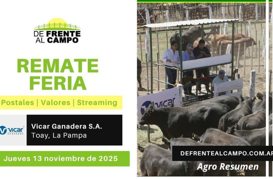 Remate Feria de Vicar Ganadera S.A. | Toay | Jueves 13/11/2025