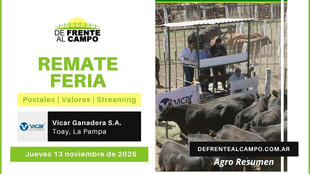 Remate Feria de Vicar Ganadera S.A. | Toay | Jueves 13/11/2025