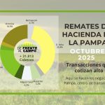 Remates de hacienda en La Pampa octubre 2025 — 31.813 cabezas en ferias pampeanas