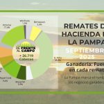 Remates feria septiembre 2025 en La Pampa: General Acha lideró el mes con más del 35% de la hacienda vendida