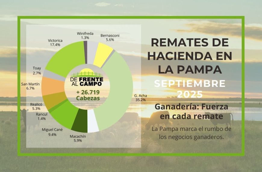 Remates feria septiembre 2025 en La Pampa: General Acha lideró el mes con más del 35% de la hacienda vendida
