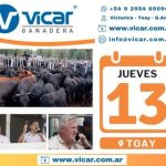 Vicar Ganadera | Toay | Próximo Remate Feria el jueves 13 de noviembre de 2025