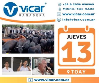 Remate feria Vicar Ganadera en Toay el jueves 13 de noviembre 2025.