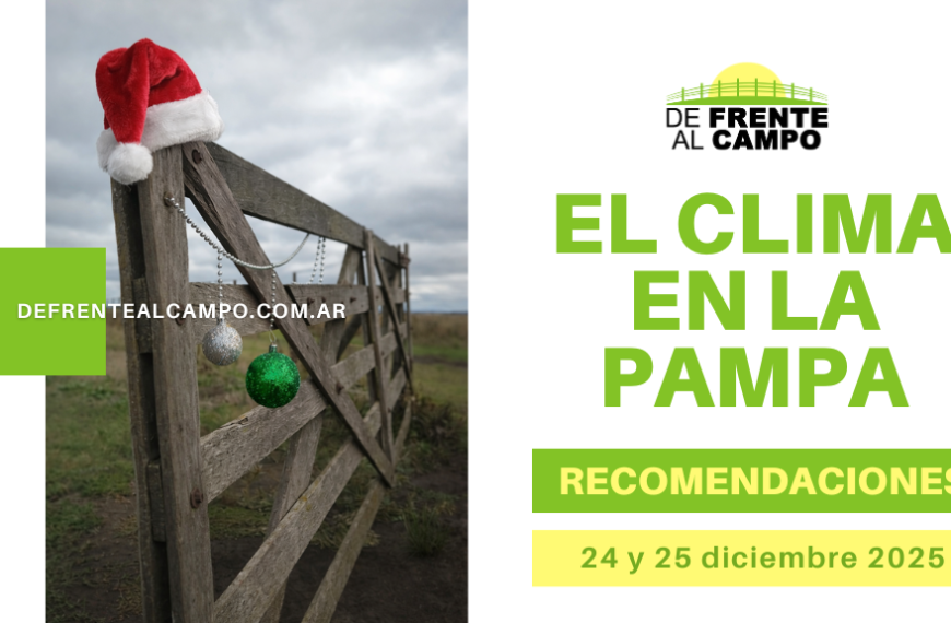 Tranquera navideña de madera en el campo, decorada con gorro de Papá Noel y esferas colgantes bajo cielo nublado.