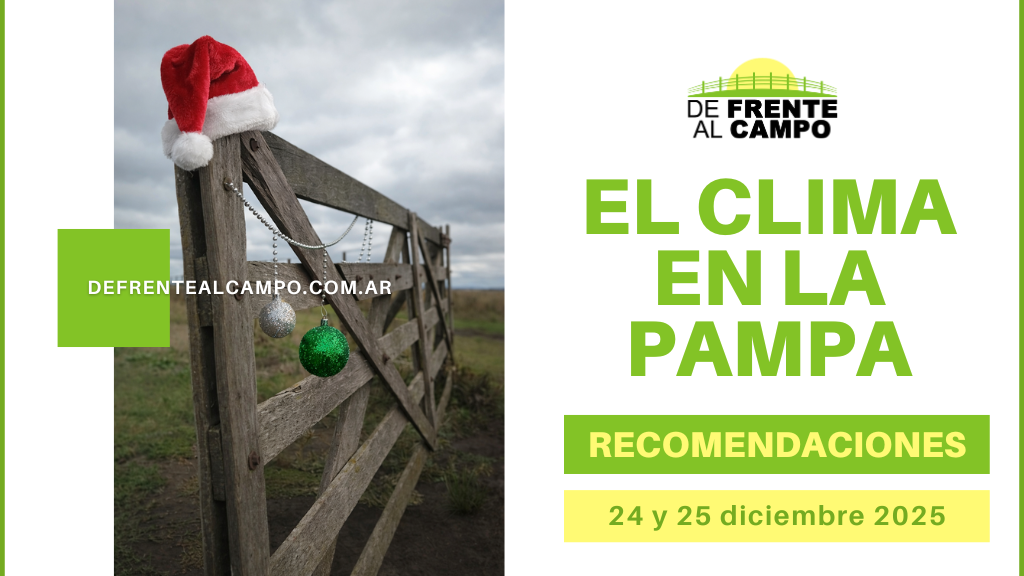 ¿Cómo estará el clima en La Pampa en Navidad?: Qué se espera para el 24 y 25 de diciembre 2025
