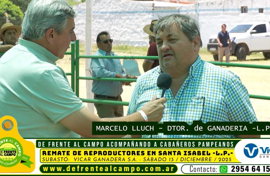 Marcelo LLuch -Director de Ganadería de L.P.-