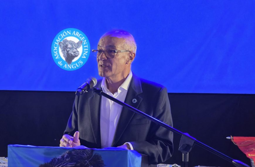 Angus hará historia en Palermo con la jura alternada en todas sus categorías, tanto en macho como en hembras