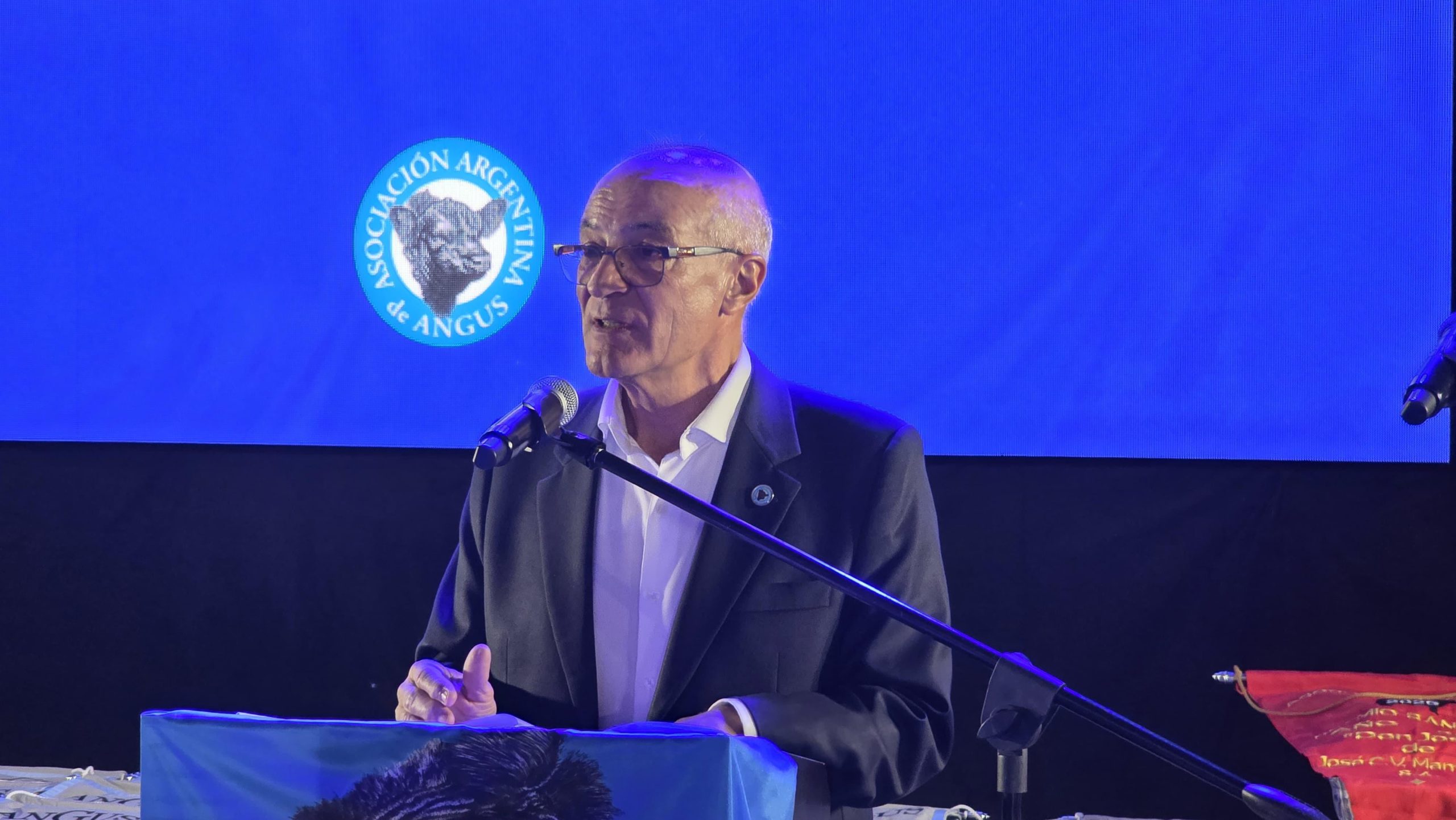 Angus hará historia en Palermo con la jura alternada en todas sus categorías, tanto en macho como en hembras