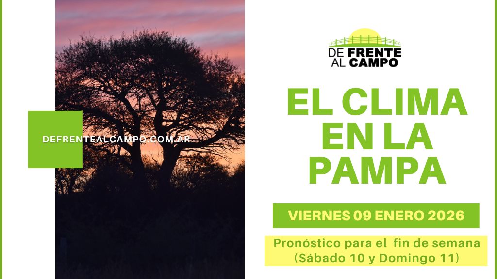 Sube el calor en La Pampa: hoy hasta 30 °C con humedad alta y fin de semana extremo de hasta 39 °C – Pronóstico del tiempo La Pampa fin de semana (09 al 11/01/26)