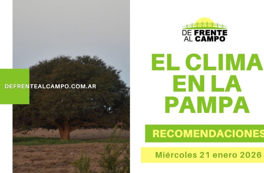 Pronóstico del tiempo La Pampa hoy con paisaje rural, árbol en el campo y placa informativa sobre el clima en la provincia.
