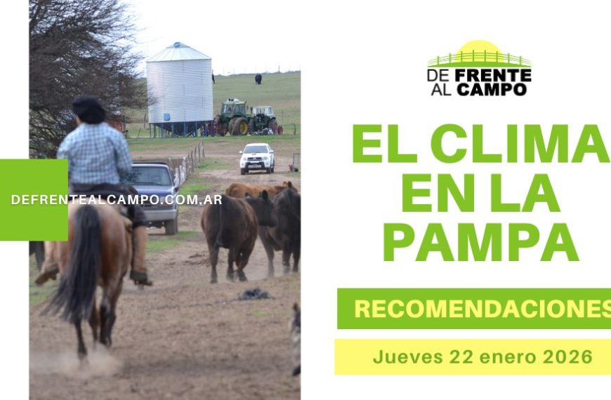 Pronóstico del tiempo en La Pampa hoy con actividad rural, cielo variable y condiciones climáticas que influyen en el campo pampeano.