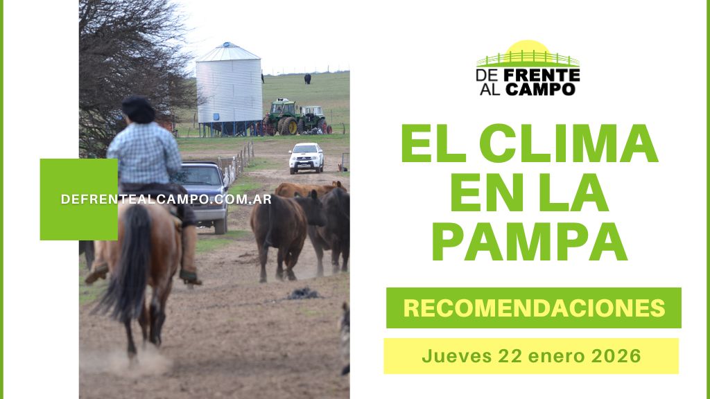 Jornada calurosa e inestable: Sube a 37 °C, calor intenso, viento fuerte y alerta por tormentas (18 °C / 37 °C) – Jue 22/01/26