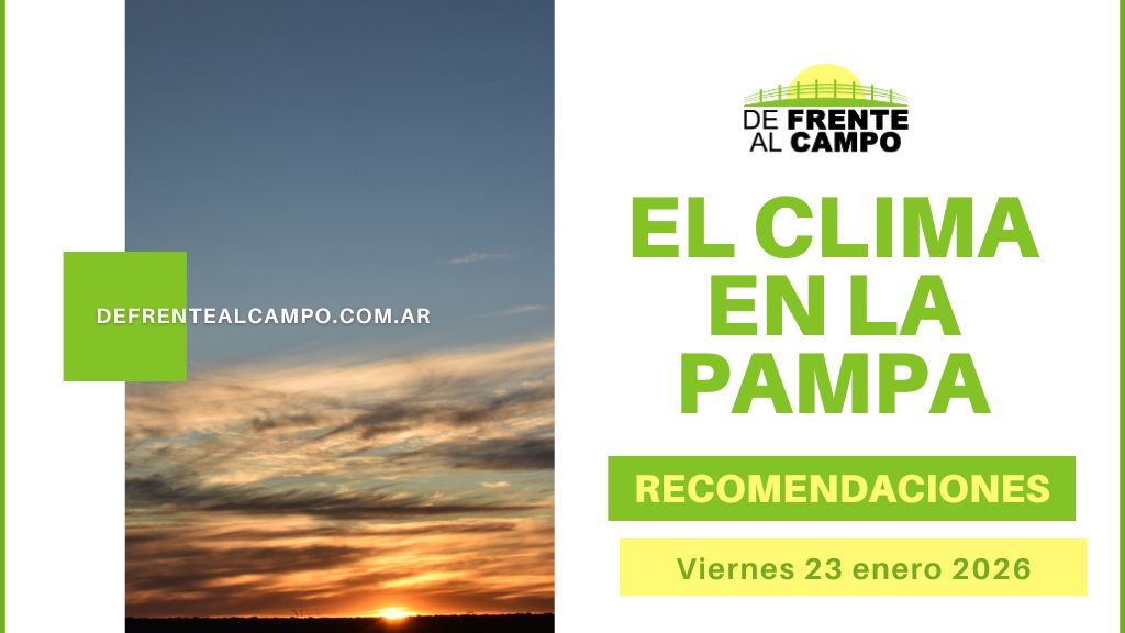 Precaución por calor y viento: hoy hasta 37 °C y tormentas el fin de semana en el Pronóstico del tiempo La Pampa fin de semana (Vie 23/01)