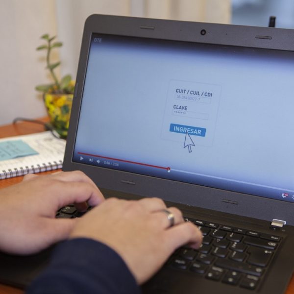 SENASA actualiza los controles de brucelosis bovina para el movimiento de hacienda