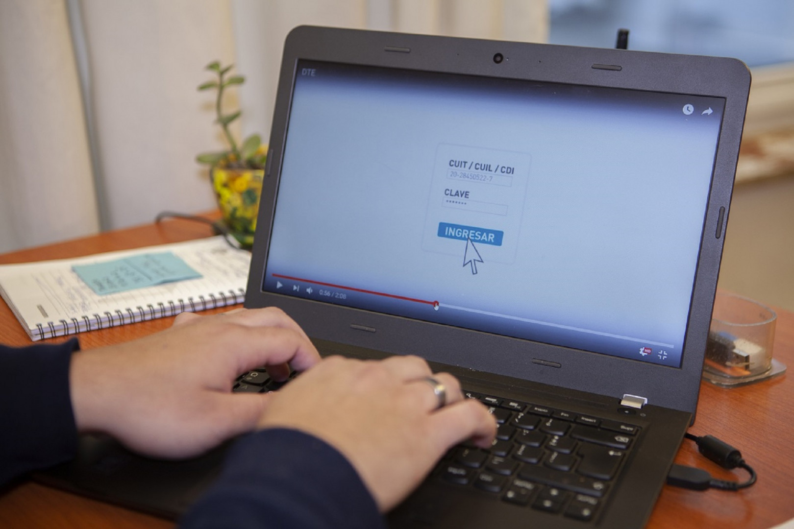 SENASA actualiza los controles de brucelosis bovina para el movimiento de hacienda