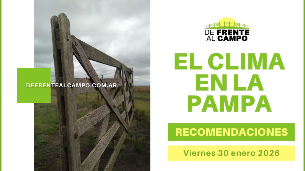 Pronóstico del tiempo en La Pampa este fin de semana: viernes caluroso y fin de semana con máximas de hasta 37 °C en toda la provincia