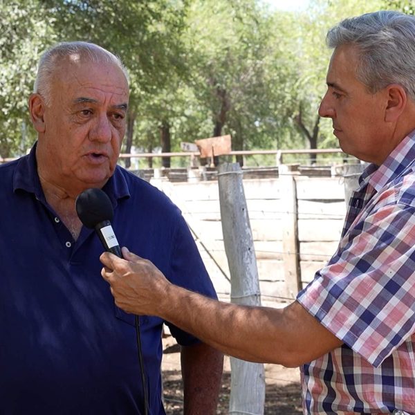 Néstor Fuentes: Perspectivas de la Ganadería