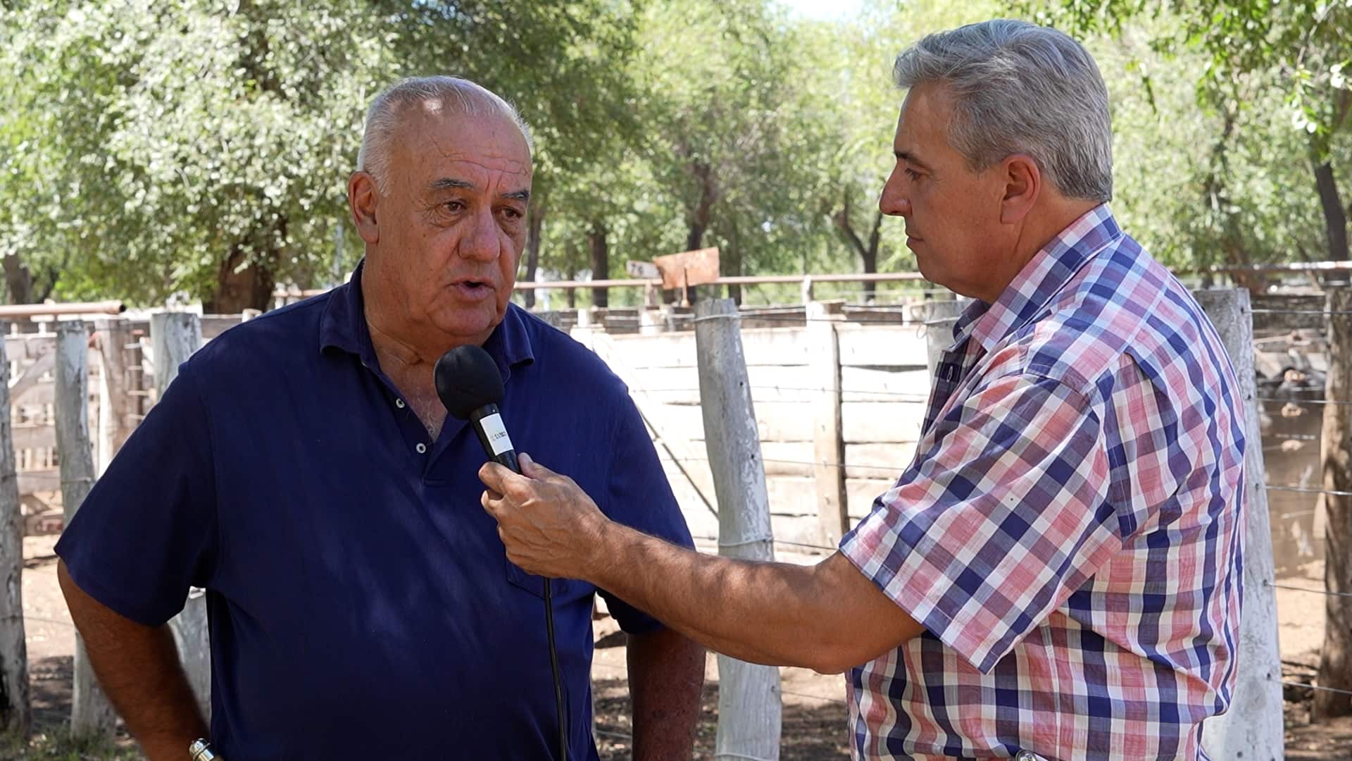 Néstor Fuentes: Perspectivas de la Ganadería