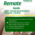 ATREU-CO | Macachín | Próximo Remate Feria el martes 20 de enero de 2026