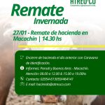 ATREU-CO | Macachín | Próximo Remate Feria el martes 27 de enero de 2026
