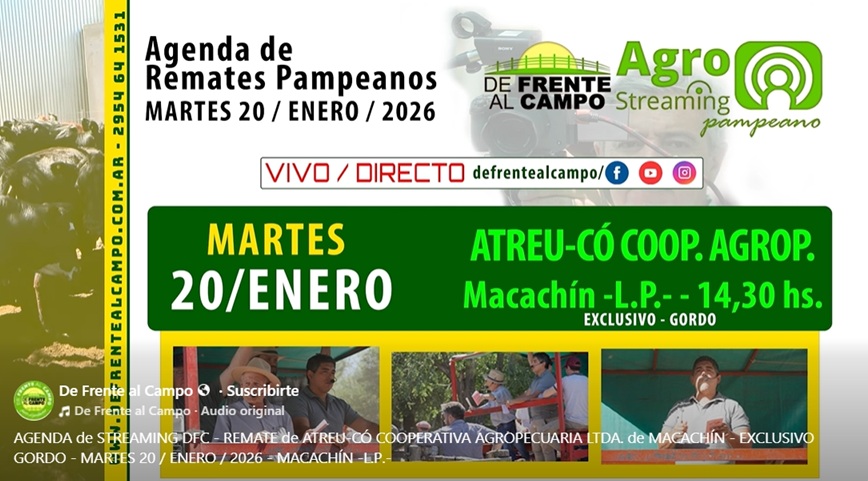 ATREU-CO | Macachín | Próximo Remate Feria el martes 20 de enero de 2026