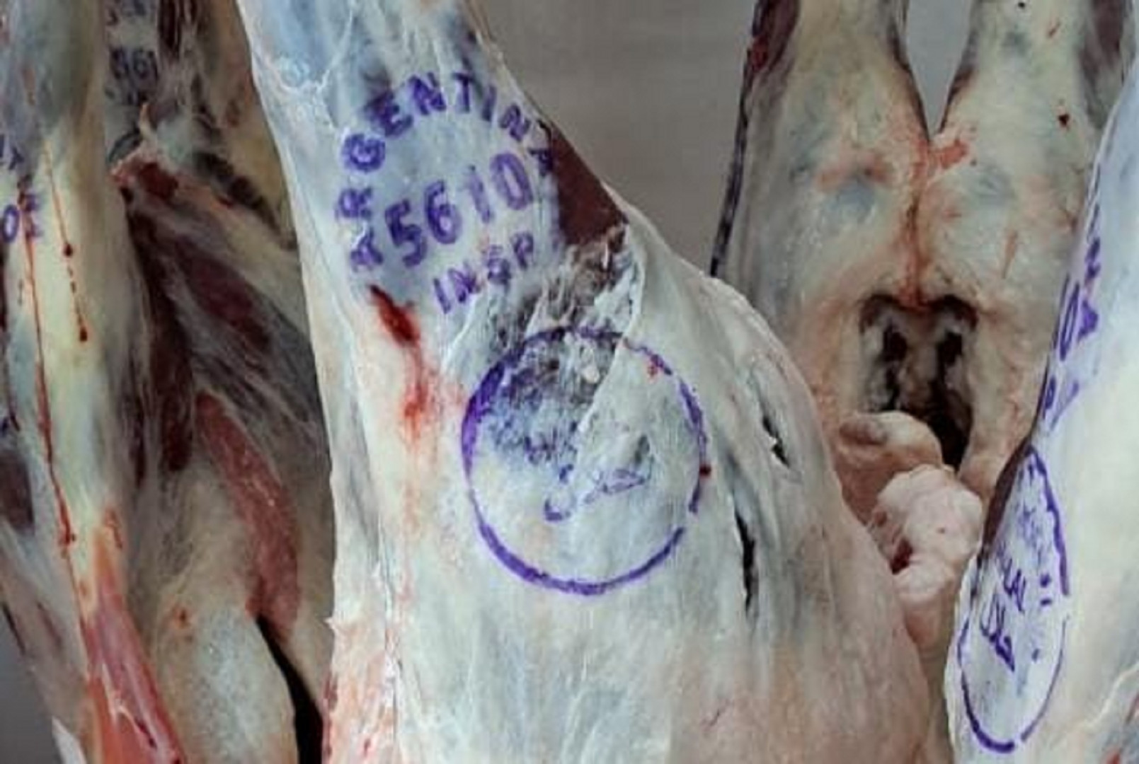 Tras 19 años, Entre Ríos vuelve a exportar carne ovina al Medio Oriente con destino a Omán