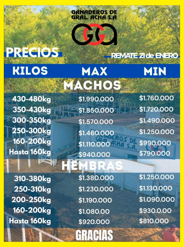 Remate feria Ganaderos General Acha 21 enero 2026 con precios máximos y mínimos de machos y hembras por kilo