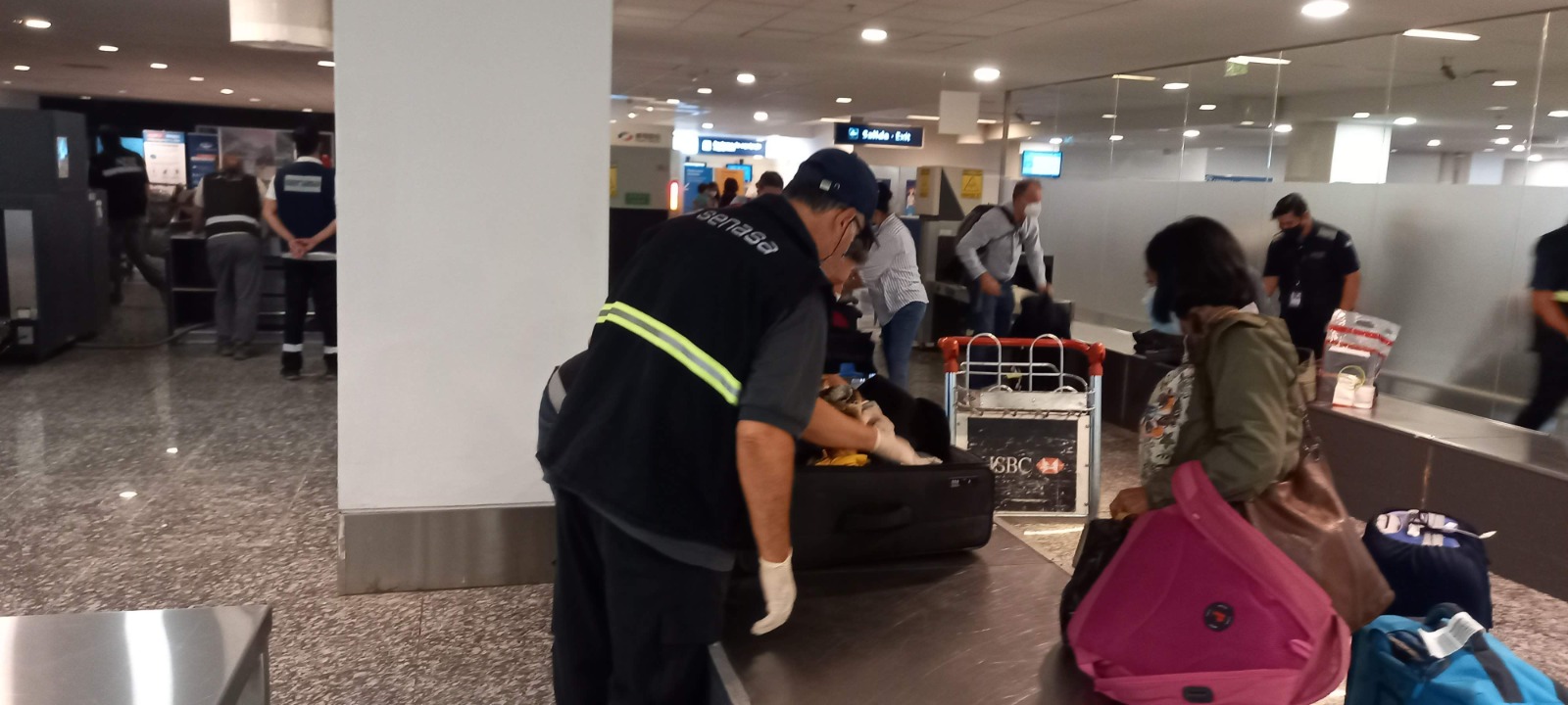 Claves fundamentales del SENASA para el ingreso de agroalimentos desde el exterior