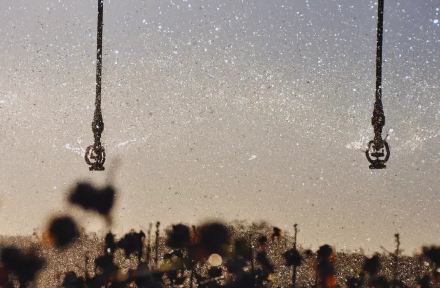 El INTA aplica inteligencia artificial para detectar riego por pivote y mejorar el monitoreo agrícola.