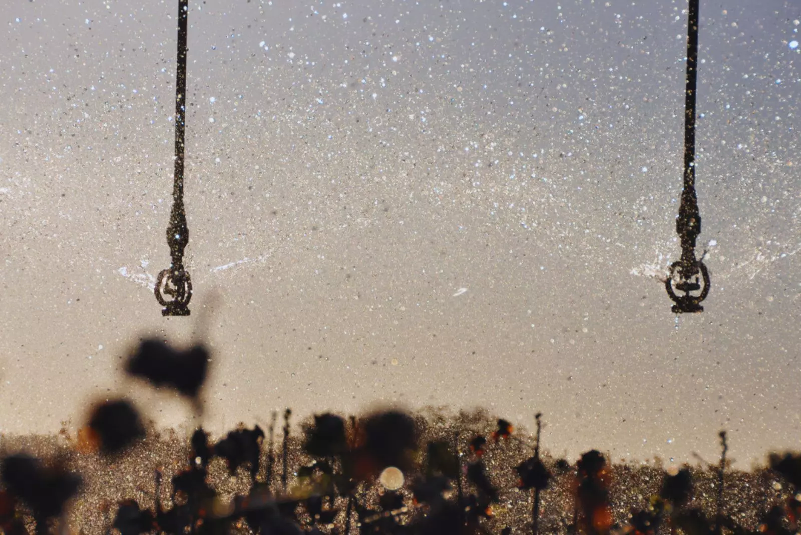 Con inteligencia artificial, el INTA redefine el monitoreo del riego agrícola en la Argentina