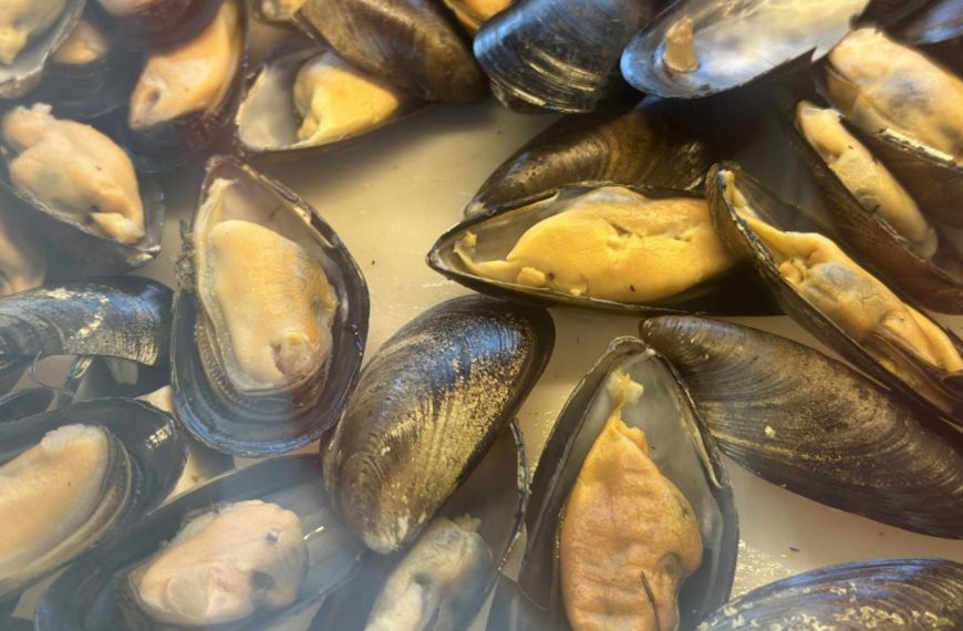 De la playa a la mesa: cómo prevenir intoxicaciones por marea roja y cuidar la salud