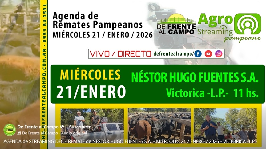 Remate feria de Néstor Hugo Fuentes S.A. en Victorica, La Pampa, miércoles 21 de enero de 2026, desde las 11 hs.